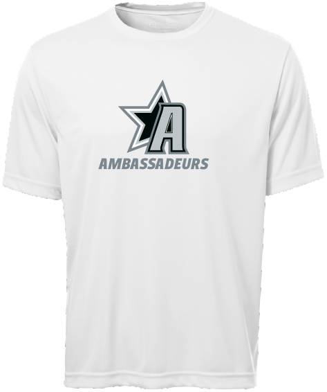 HOCKEY DE LA VALLÉE - S350 T-shirt sport Pro Team - DTF. DTF-1181 (AV) OU DTF-2408