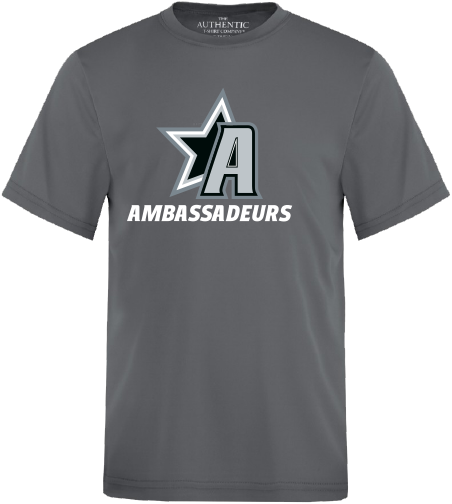 HOCKEY DE LA VALLÉE - Y350 T-shirt  Pro Team junior - DTF. DTF-1181 (AV) OU DTF-2408 (AV)